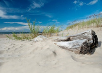 A Private Jurmala & Riga Tour, 7 hrs for cruise ship tourists