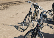 Guaranteed Departure Biking Tours in Baltics