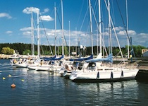 Team building & Incentive ideas in Tallinn, Estonia